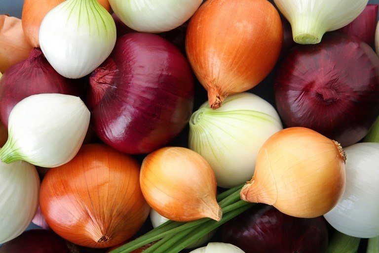 How To Store Potatoes And Onions? How To Store Potatoes And Onions?
