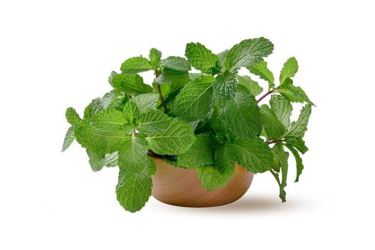 Herbs You&rsquo;ll Never Want to Start From Seed