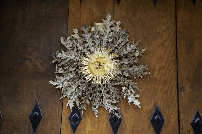 DIY Summer Wreath Ideas to Spruce Up Your Front Door DIY Summer Wreath Ideas to Spruce Up Your Front Door