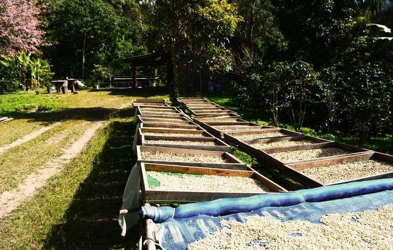 How to Tell How Much Light One Part of Your Yard Is Getting? How to Tell How Much Light One Part of Your Yard Is Getting?