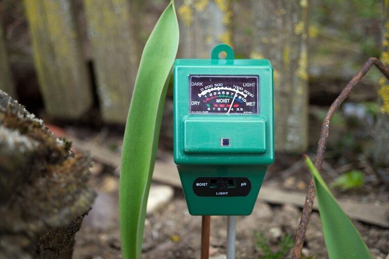 How to Tell How Much Light One Part of Your Yard Is Getting? How to Tell How Much Light One Part of Your Yard Is Getting?
