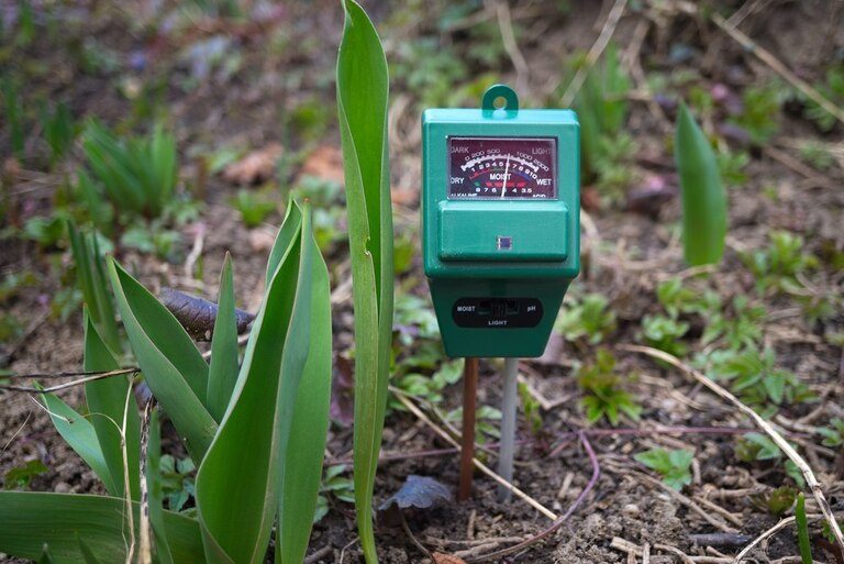 How to Tell How Much Light One Part of Your Yard Is Getting? How to Tell How Much Light One Part of Your Yard Is Getting?