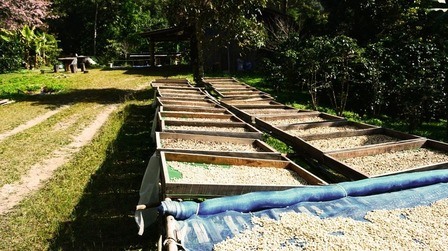 How to Tell How Much Light One Part of Your Yard Is Getting? How to Tell How Much Light One Part of Your Yard Is Getting?