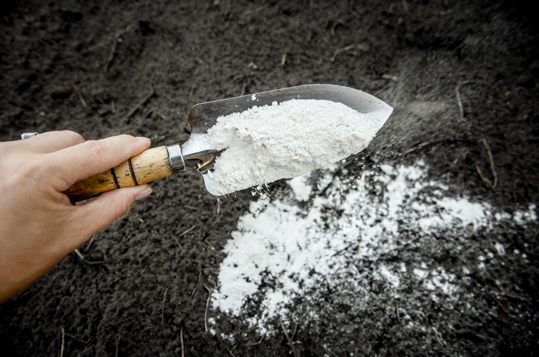 How to Store Wood ASH & Use It In The Garden? How to Store Wood ASH & Use It In The Garden?