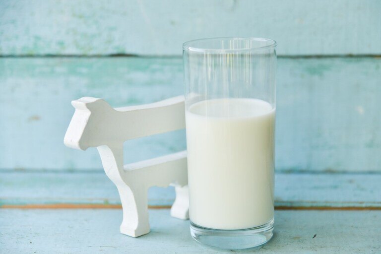 Little-Known Ways to Use Milk in Your Garden Little-Known Ways to Use Milk in Your Garden