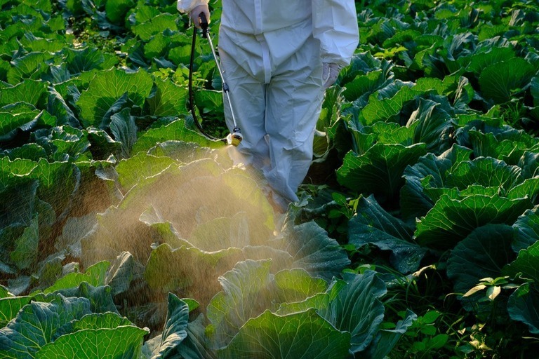 Little-Known Ways to Use Milk in Your Garden Little-Known Ways to Use Milk in Your Garden