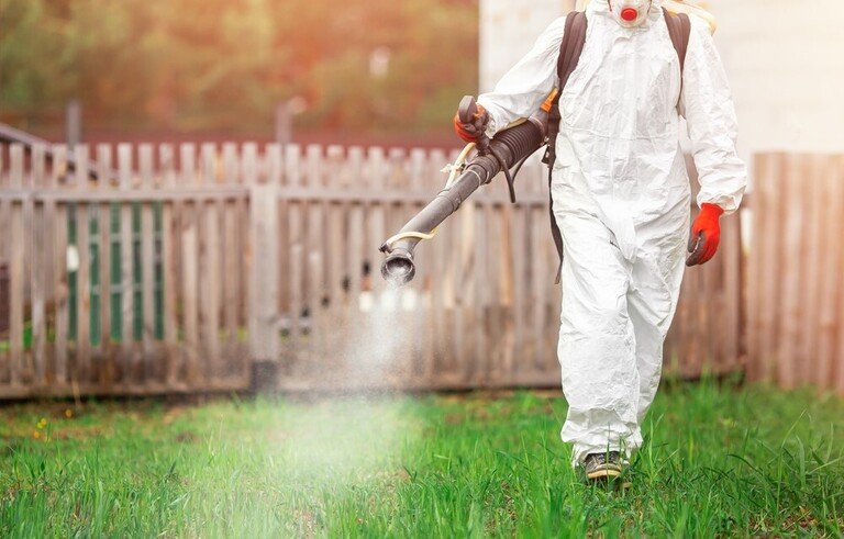 Little-Known Ways to Use Milk in Your Garden Little-Known Ways to Use Milk in Your Garden