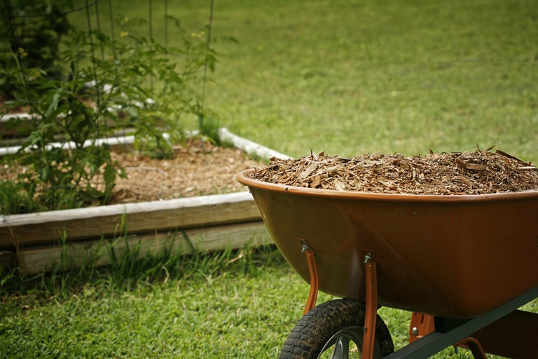 Common Raised Bed Gardening Mistakes and How to Avoid Them Common Raised Bed Gardening Mistakes and How to Avoid Them