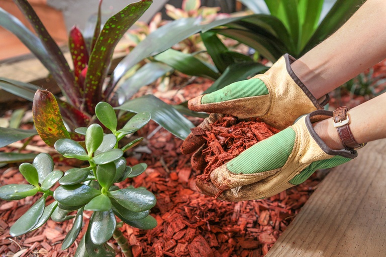 Common Raised Bed Gardening Mistakes and How to Avoid Them Common Raised Bed Gardening Mistakes and How to Avoid Them