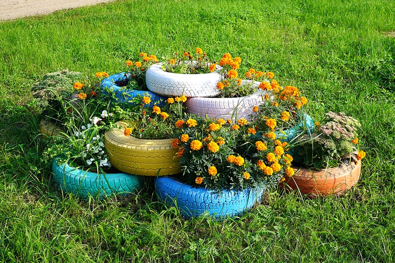 Common Raised Bed Gardening Mistakes and How to Avoid Them Common Raised Bed Gardening Mistakes and How to Avoid Them