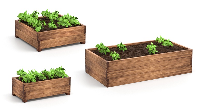 Common Raised Bed Gardening Mistakes and How to Avoid Them Common Raised Bed Gardening Mistakes and How to Avoid Them