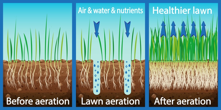 How to Grow Grass in Depleted Soil? How to Grow Grass in Depleted Soil?