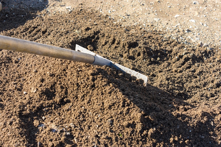 How to Grow Grass in Depleted Soil? How to Grow Grass in Depleted Soil?