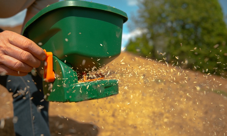 How to Grow Grass in Depleted Soil? How to Grow Grass in Depleted Soil?