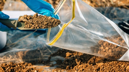 How to Grow Grass in Depleted Soil?