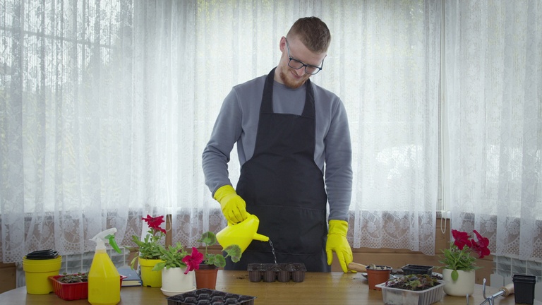 Tried and True Hacks to Fix and Prevent Leggy Seedlings Tried and True Hacks to Fix and Prevent Leggy Seedlings