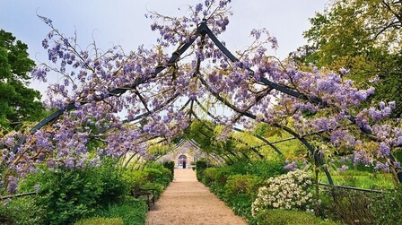 Beautiful and Functional Trellis Ideas for Climbing Plants