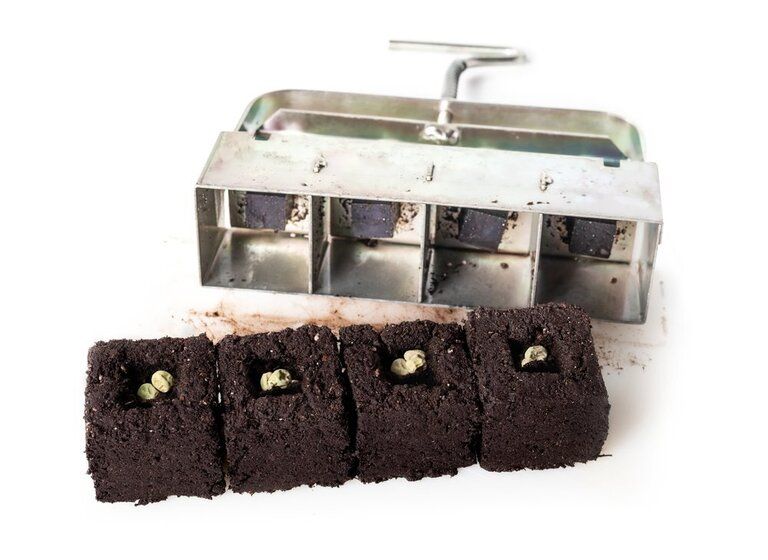 How to Do Proper Soil Blocking for Indoor Seedlings? How to Do Proper Soil Blocking for Indoor Seedlings?