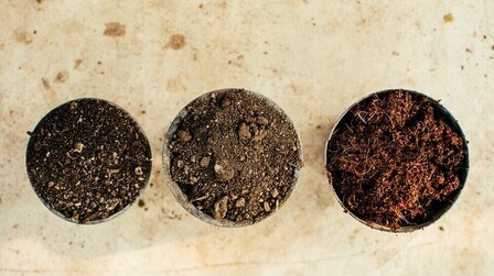 How to Do Proper Soil Blocking for Indoor Seedlings?