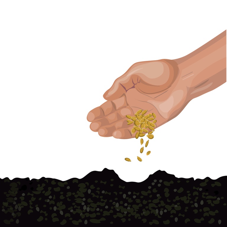 Reasons Why Your Seeds Didn’t Germinate – and How to Fix It? Reasons Why Your Seeds Didn’t Germinate – and How to Fix It?