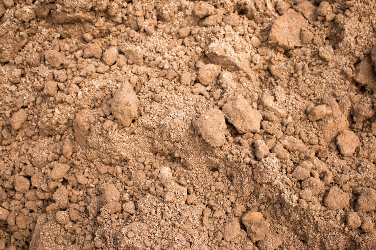 Reasons Why Your Seeds Didn’t Germinate – and How to Fix It? Reasons Why Your Seeds Didn’t Germinate – and How to Fix It?