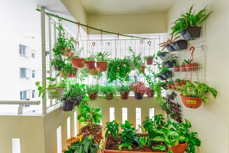 Location Ideas for Apartment and Urban Gardens Location Ideas for Apartment and Urban Gardens