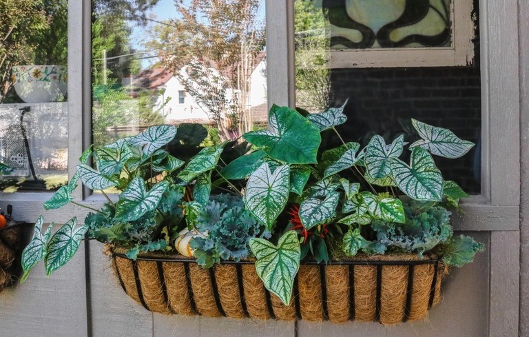 Location Ideas for Apartment and Urban Gardens Location Ideas for Apartment and Urban Gardens
