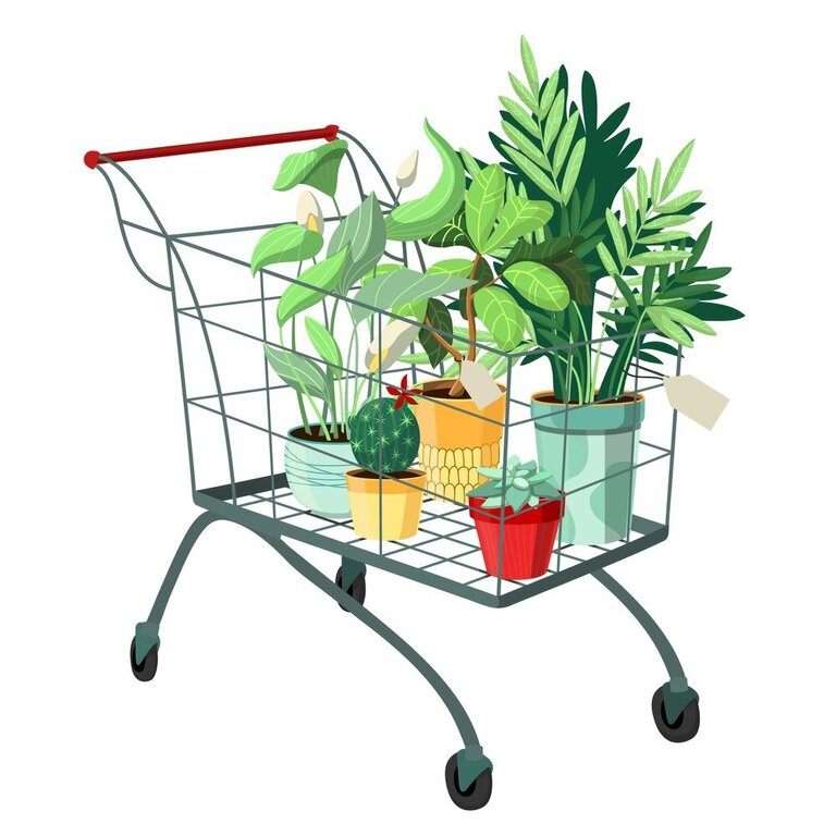 Location Ideas for Apartment and Urban Gardens Location Ideas for Apartment and Urban Gardens