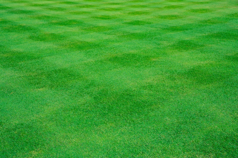 How to Make a Grid Pattern in the Grass With a Lawnmower? How to Make a Grid Pattern in the Grass With a Lawnmower?