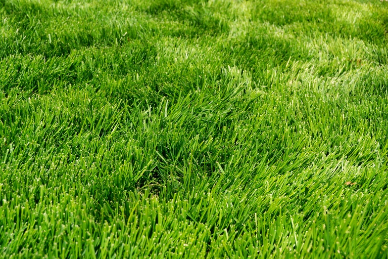 How to Make a Grid Pattern in the Grass With a Lawnmower? How to Make a Grid Pattern in the Grass With a Lawnmower?