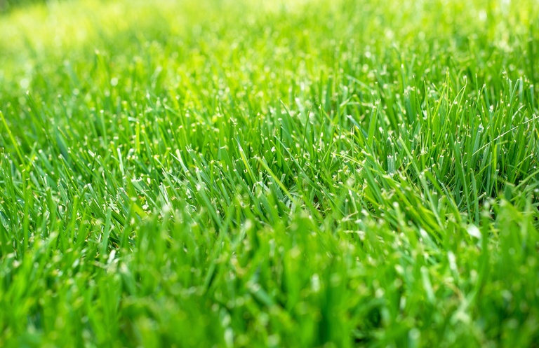 How to Make a Grid Pattern in the Grass With a Lawnmower? How to Make a Grid Pattern in the Grass With a Lawnmower?