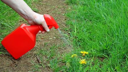 Best Weed Killer For Large Areas of 2025: Top 6 Picks