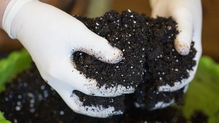 Best Soil For Outdoor Potted Plants of 2025: Top 5 Picks