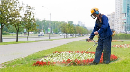 13 Best Edgers For Flower Beds of 2025