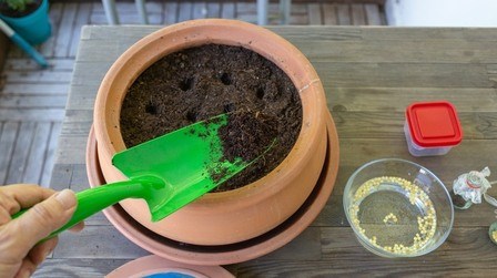 Best Seed Starting Mix For Vegetables of 2025: Top 6 Picks