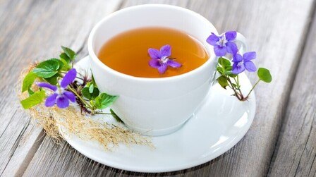 Best Edible Flowers to Grow in Your Garden