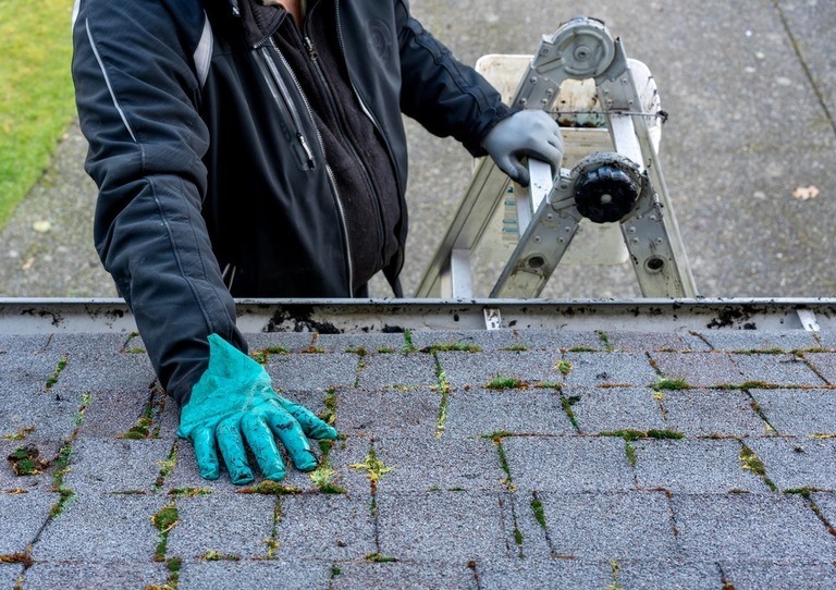 Green Roof Construction - How To Make A Green Roof Green Roof Construction - How To Make A Green Roof
