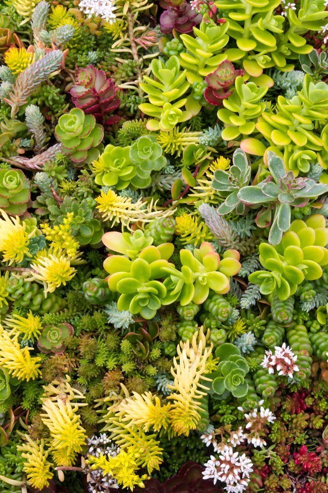 Green Roof Construction - How To Make A Green Roof Green Roof Construction - How To Make A Green Roof