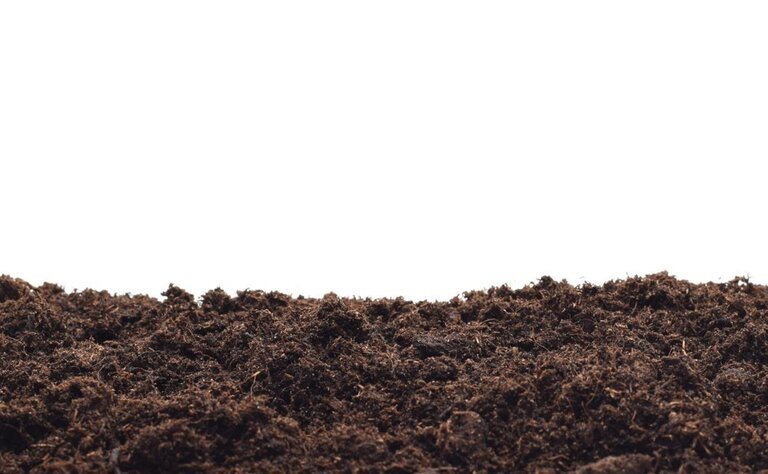 Green Roof Construction - How To Make A Green Roof Green Roof Construction - How To Make A Green Roof