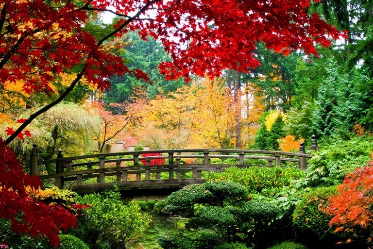 How Do You Make A Simple Zen Garden? How Do You Make A Simple Zen Garden?