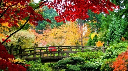 How Do You Make A Simple Zen Garden?
