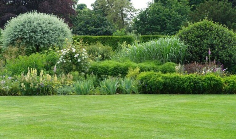 Best Ways Create A Partition In Your Garden Best Ways Create A Partition In Your Garden