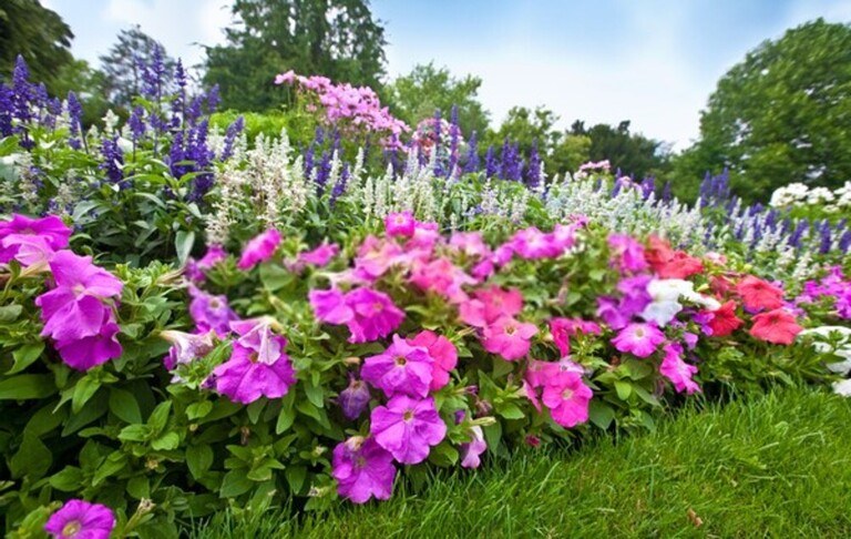 Best Ways Create A Partition In Your Garden Best Ways Create A Partition In Your Garden