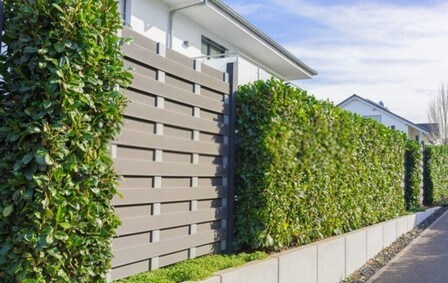 Best Ways Create A Partition In Your Garden