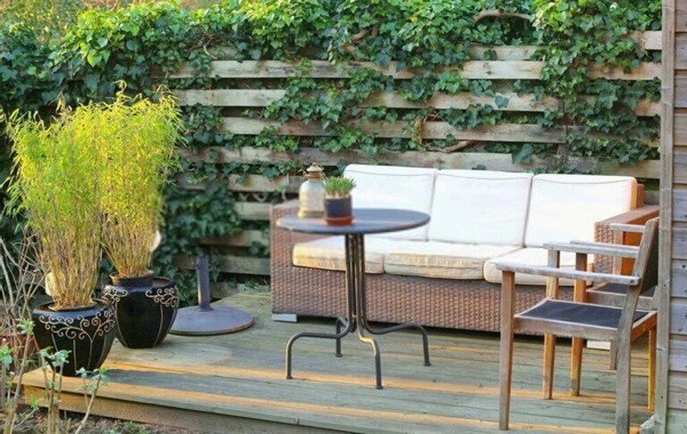 Best Ways Create A Partition In Your Garden Best Ways Create A Partition In Your Garden