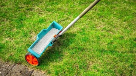 Best Weed And Feed For Fall of 2025: Top 6 Picks Best Weed And Feed For Fall of 2025: Top 6 Picks