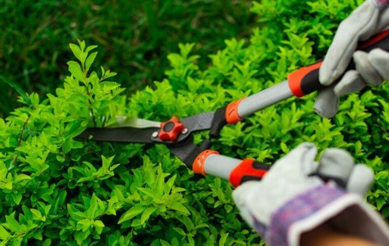 Surprising Garden Laws You Could Be Accidentally Breaking Surprising Garden Laws You Could Be Accidentally Breaking