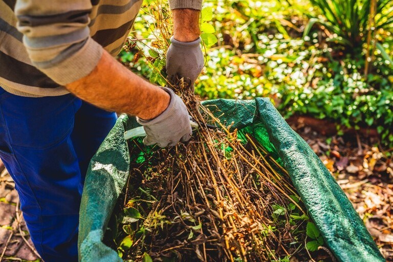 Surprising Garden Laws You Could Be Accidentally Breaking Surprising Garden Laws You Could Be Accidentally Breaking