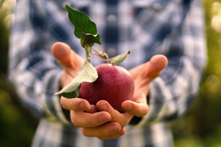 Surprising Garden Laws You Could Be Accidentally Breaking Surprising Garden Laws You Could Be Accidentally Breaking
