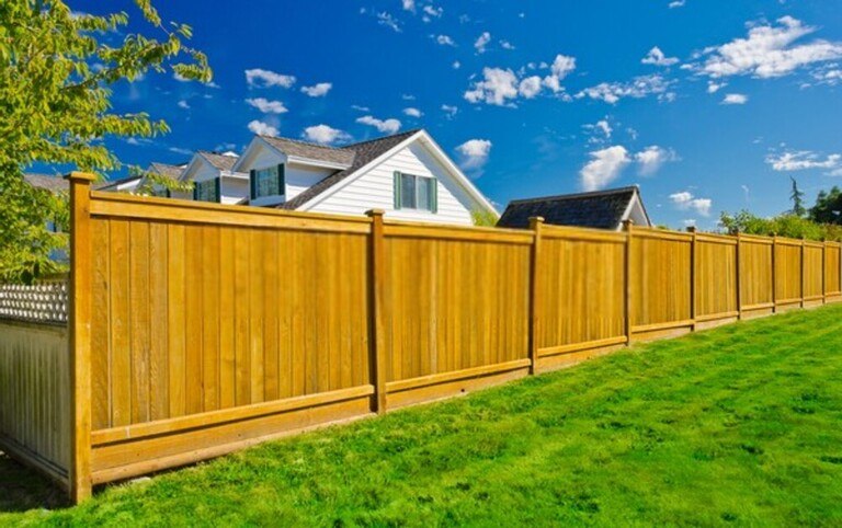Surprising Garden Laws You Could Be Accidentally Breaking Surprising Garden Laws You Could Be Accidentally Breaking